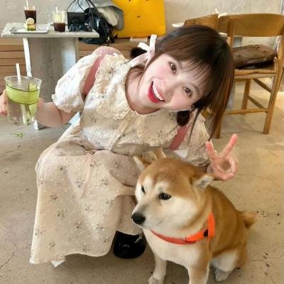 仙女特攻队